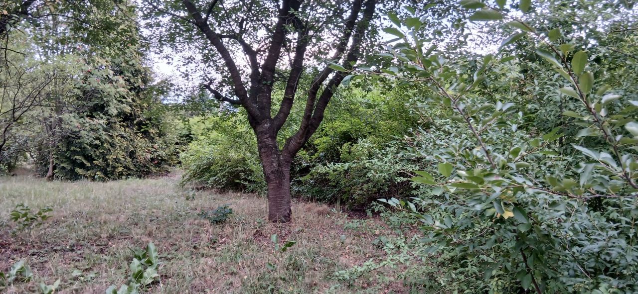 Działka budowlana Pryszczowa Góra. Zdjęcie 3