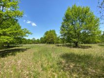 Działka rolna Klaudyn, ul. Klaudyńska. Zdjęcie 4