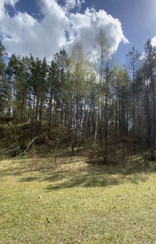 Działka rolna Idzbark. Zdjęcie 1