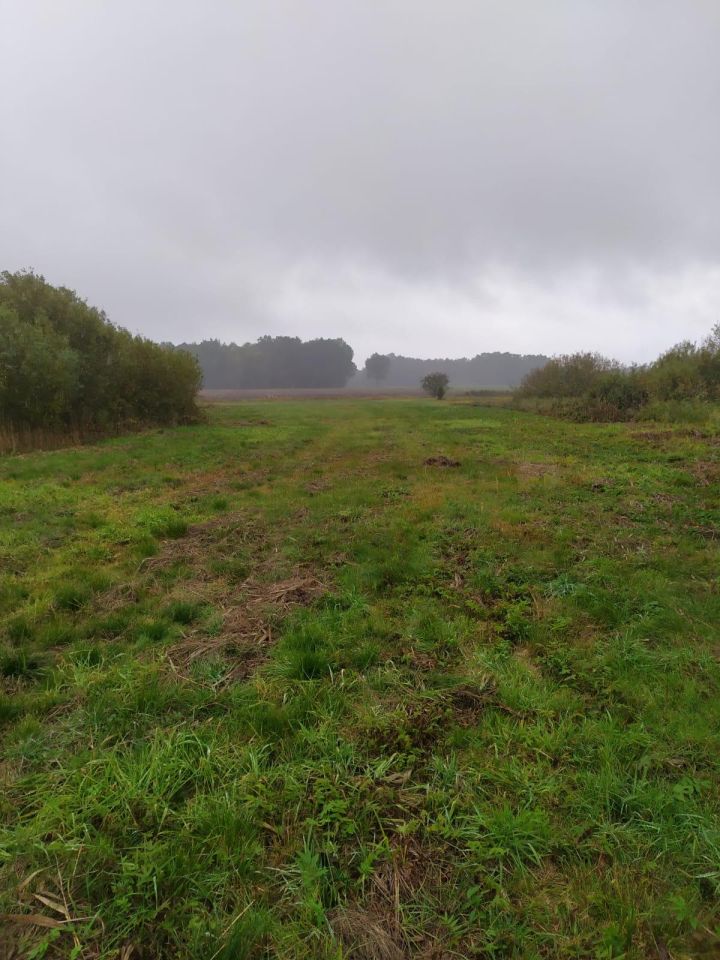 Działka rolna Nowy Świat. Zdjęcie 2