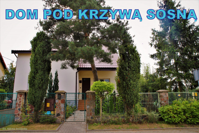 dom wolnostojący, 6 pokoi Sierpc, ul. Władysława Jagiełły. Zdjęcie 1