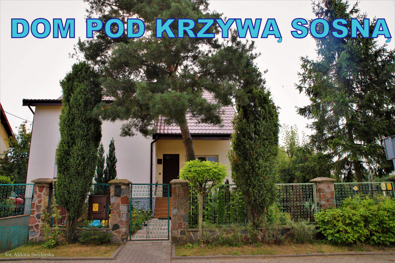 dom wolnostojący, 6 pokoi Sierpc, ul. Władysława Jagiełły