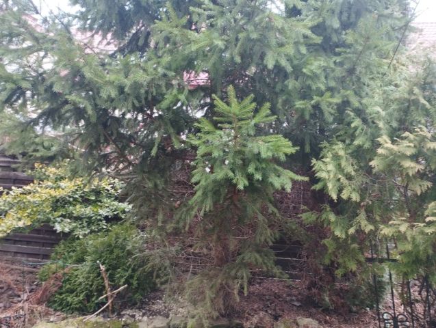 Działka rolno-budowlana Janów Lubelski, ul. Ulanowska. Zdjęcie 1