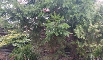 Działka rolno-budowlana Janów Lubelski, ul. Ulanowska