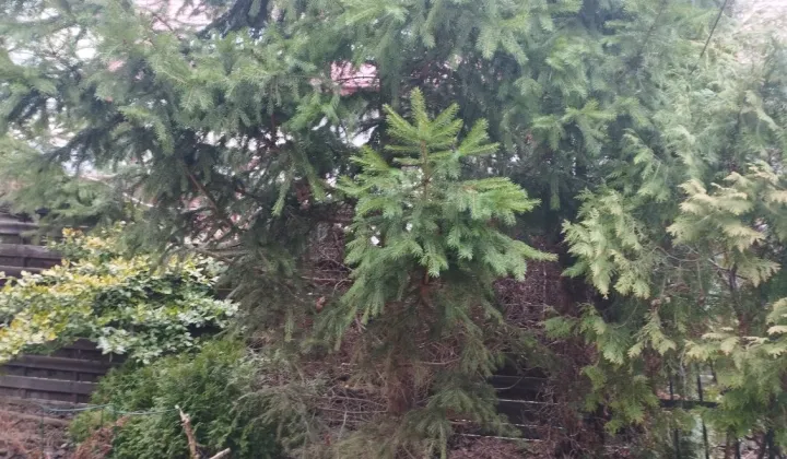 Działka rolno-budowlana Janów Lubelski, ul. Ulanowska