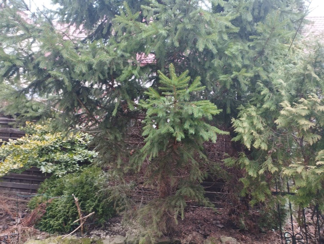 Działka rolno-budowlana Janów Lubelski, ul. Ulanowska