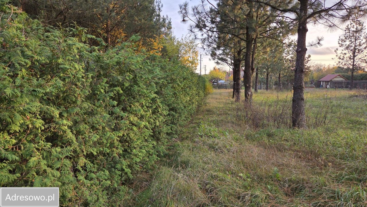 Działka budowlana Filice. Zdjęcie 20