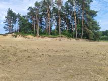 Działka budowlana Grobla. Zdjęcie 2