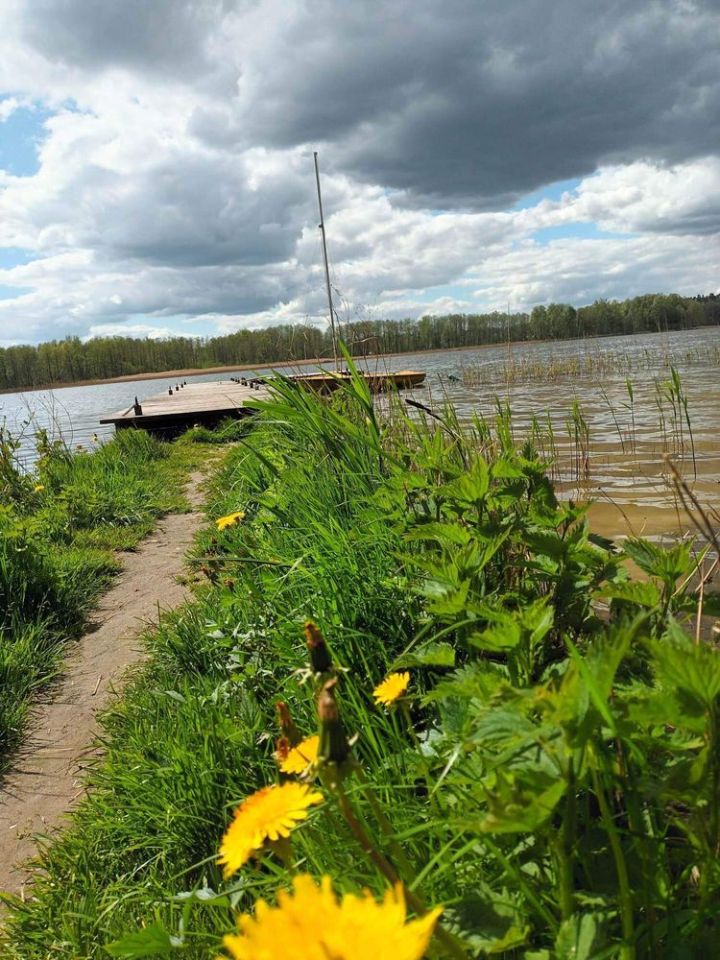 siedlisko Kolonia. Zdjęcie 4