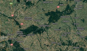 Mieszkanie 3-pokojowe Golub-Dobrzyń