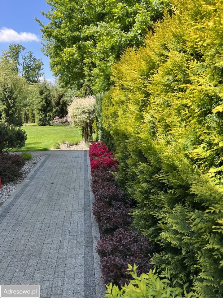 bliźniak, 4 pokoje Milanówek. Zdjęcie 6