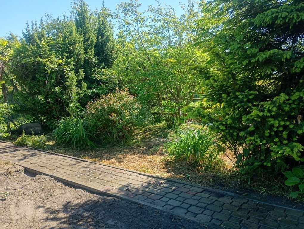 Działka rod Białystok Nowe Miasto, ul. Kanonierska. Zdjęcie 5