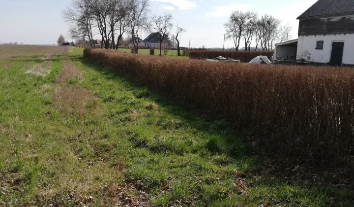 Działka budowlana Robuń