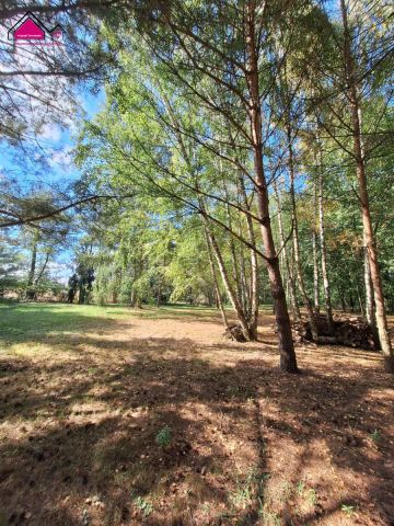 Działka rekreacyjna Cegielnia. Zdjęcie 6