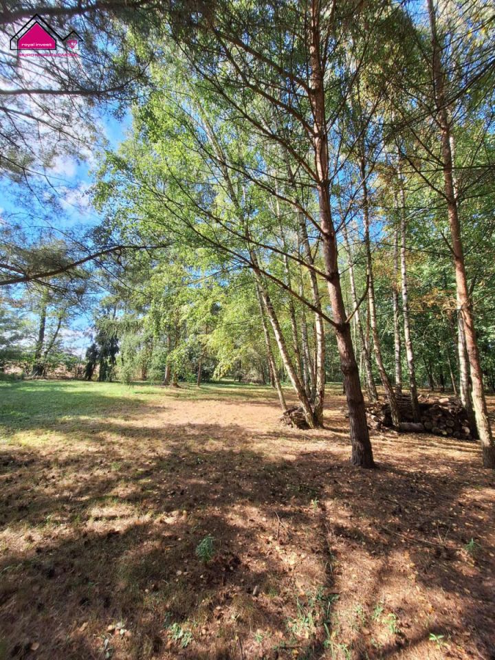 Działka rekreacyjna Wilczyn. Zdjęcie 7