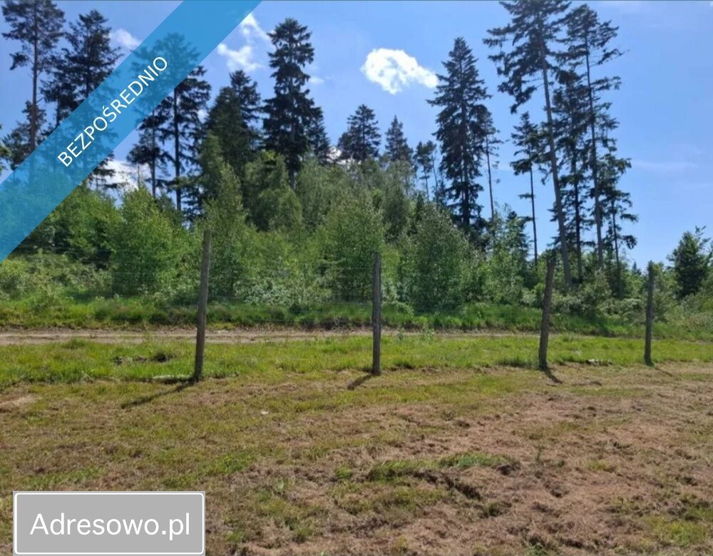Działka inwestycyjna Kudowa-Zdrój. Zdjęcie 2