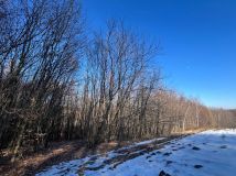 Działka leśna Rokietnica Wola. Zdjęcie 2