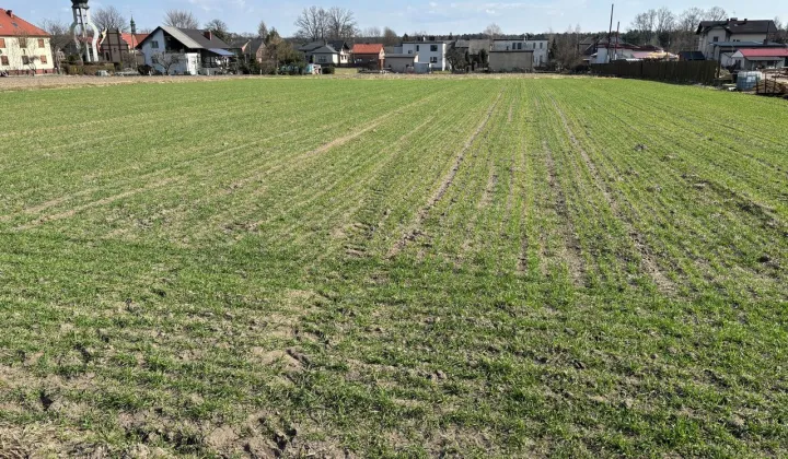 Działka budowlana Studzienice