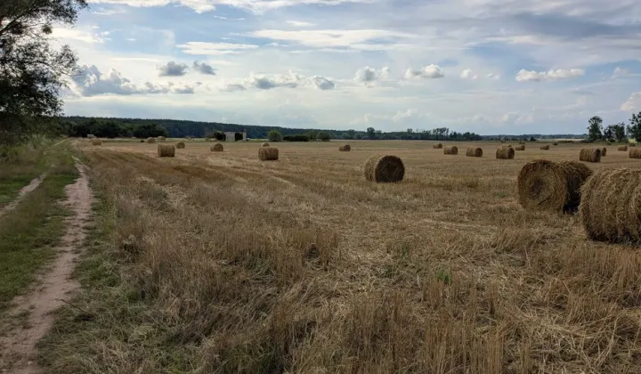 Działka rolna Polanka