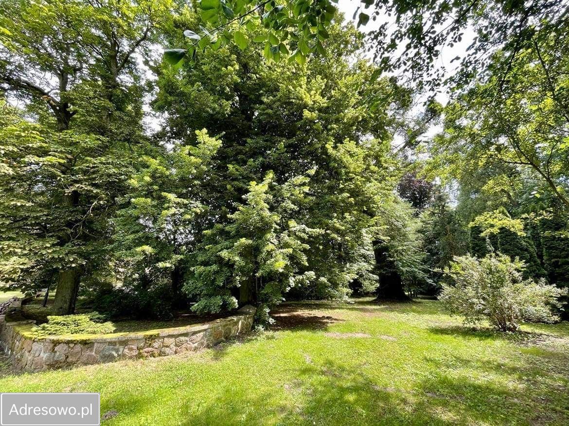 dworek Taszewo. Zdjęcie 9