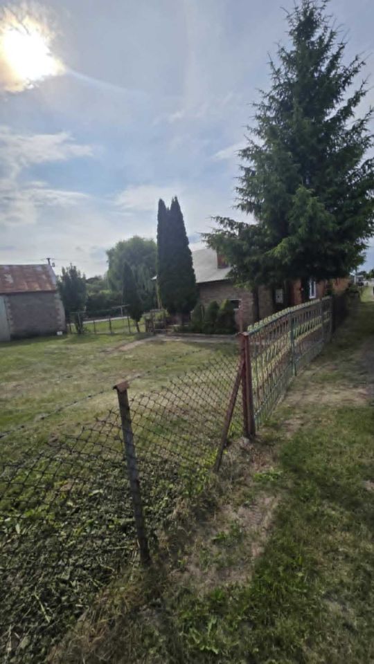 Działka siedliskowa Drogiszka. Zdjęcie 4