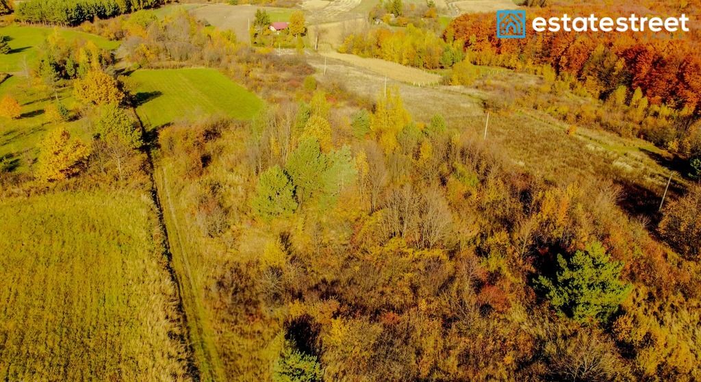 Działka budowlana Pruchnik. Zdjęcie 5