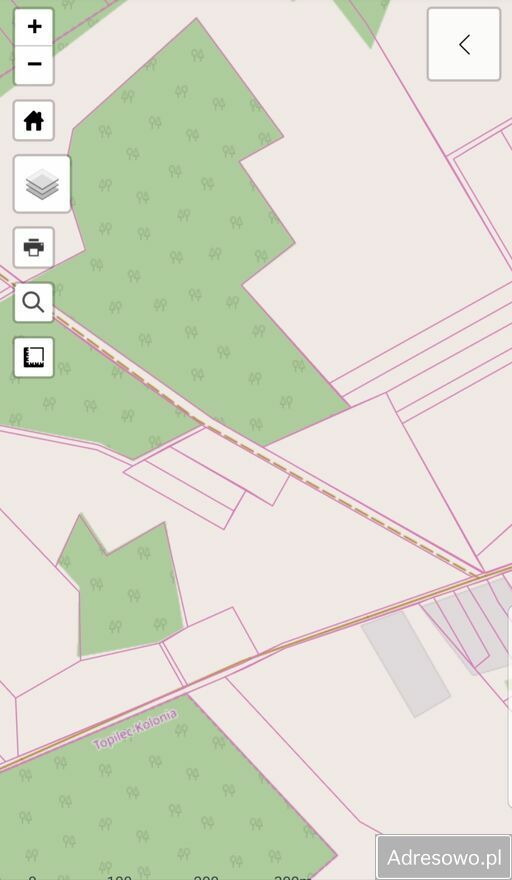 Działka rolna Kościuki. Zdjęcie 5