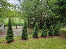 Działka rekreacyjna Ługi. Zdjęcie 1