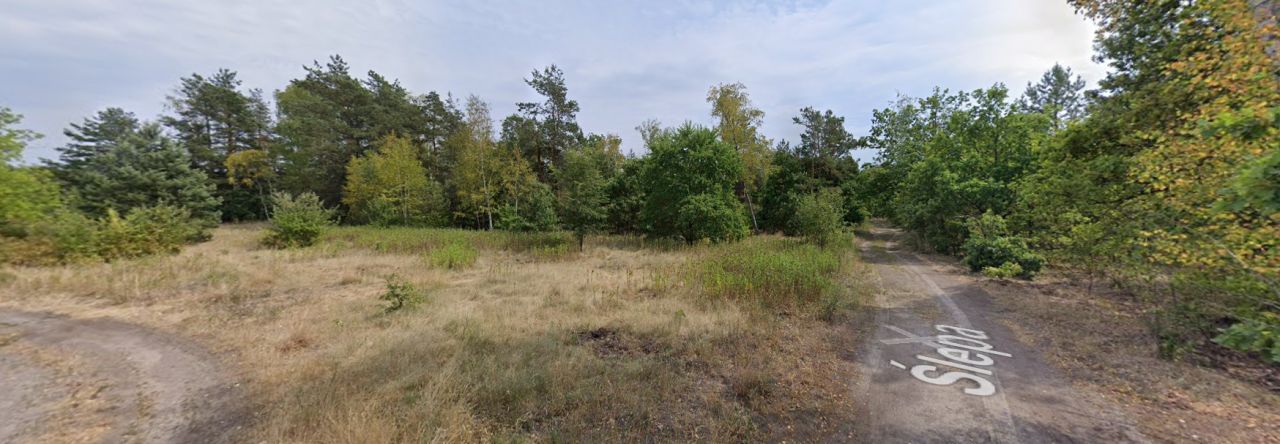 Działka leśna Warszawa Białołęka, ul. Ślepa. Zdjęcie 1