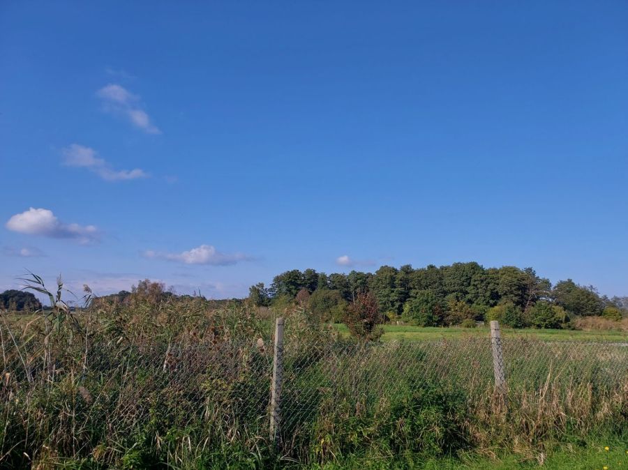 Działka rod Gdańsk Stogi. Zdjęcie 4