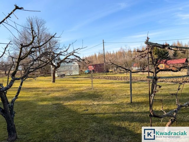 dom wolnostojący, 5 pokoi Jareniówka. Zdjęcie 20