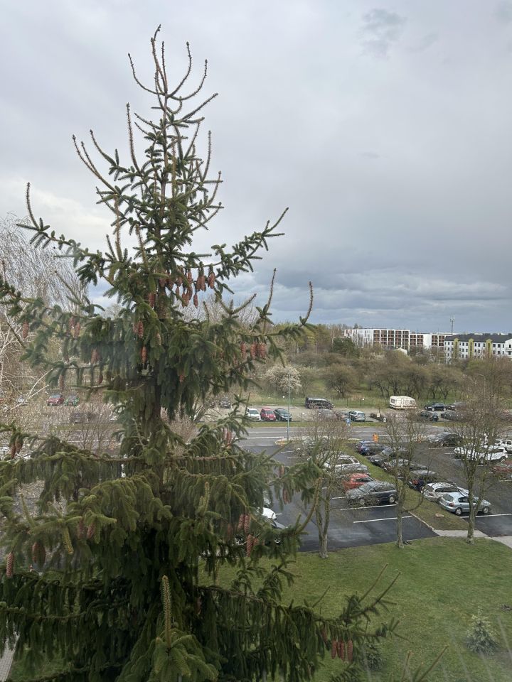 Mieszkanie 3-pokojowe Lublin Wrotków, ul. Jana Samsonowicza. Zdjęcie 11