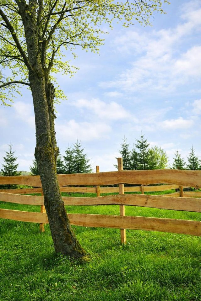 Działka rekreacyjna Gawliki Małe. Zdjęcie 4