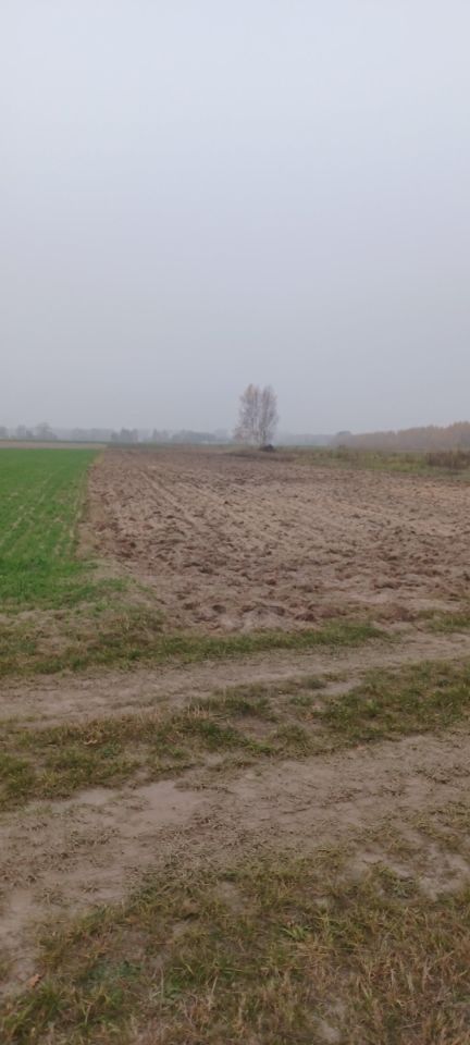 Działka rolna Parznice. Zdjęcie 2