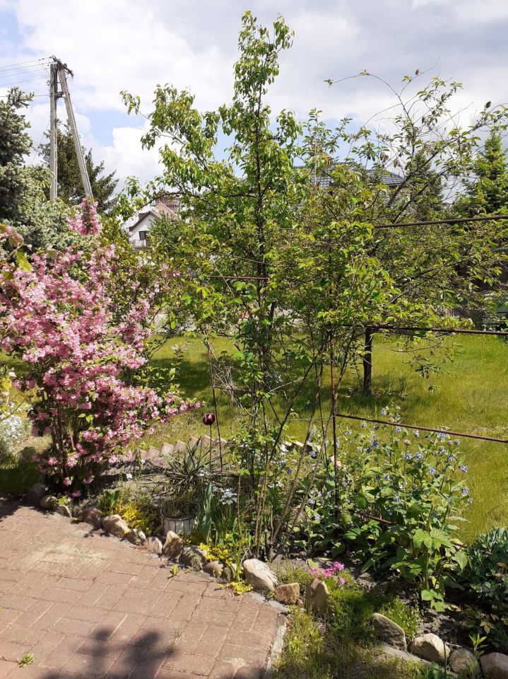 Działka rod Biała Podlaska. Zdjęcie 3