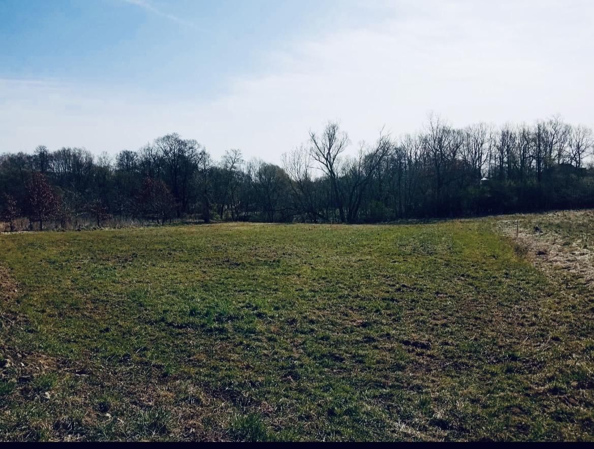 Działka rolno-budowlana Siewierz Piwoń, ul. Kielecka. Zdjęcie 6