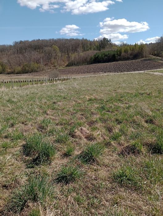 Działka budowlana Huta Dolna, ul. Żurawi Trakt. Zdjęcie 6