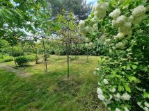 Działka rod Lublin Sławinek, ul. Agronomiczna. Zdjęcie 3