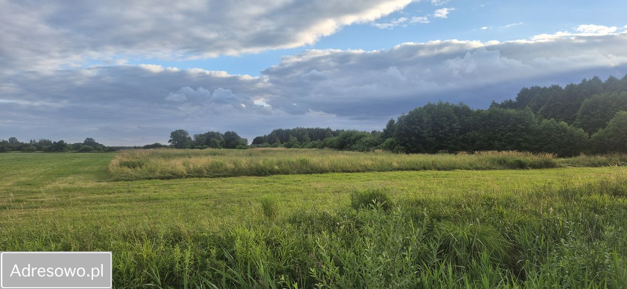 Działka rolna Golice-Kolonia. Zdjęcie 5