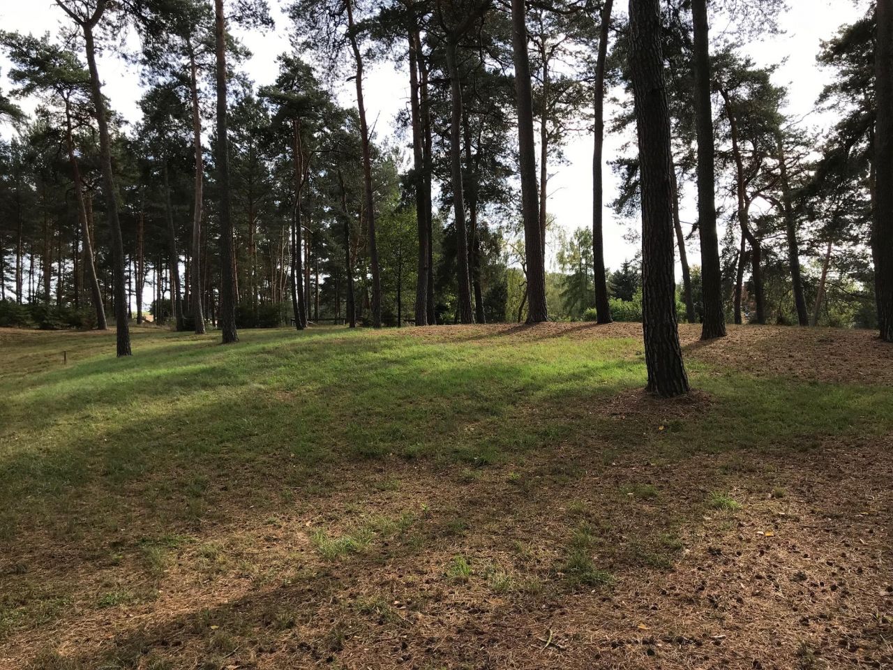 Działka budowlana Niemieczkowo. Zdjęcie 6