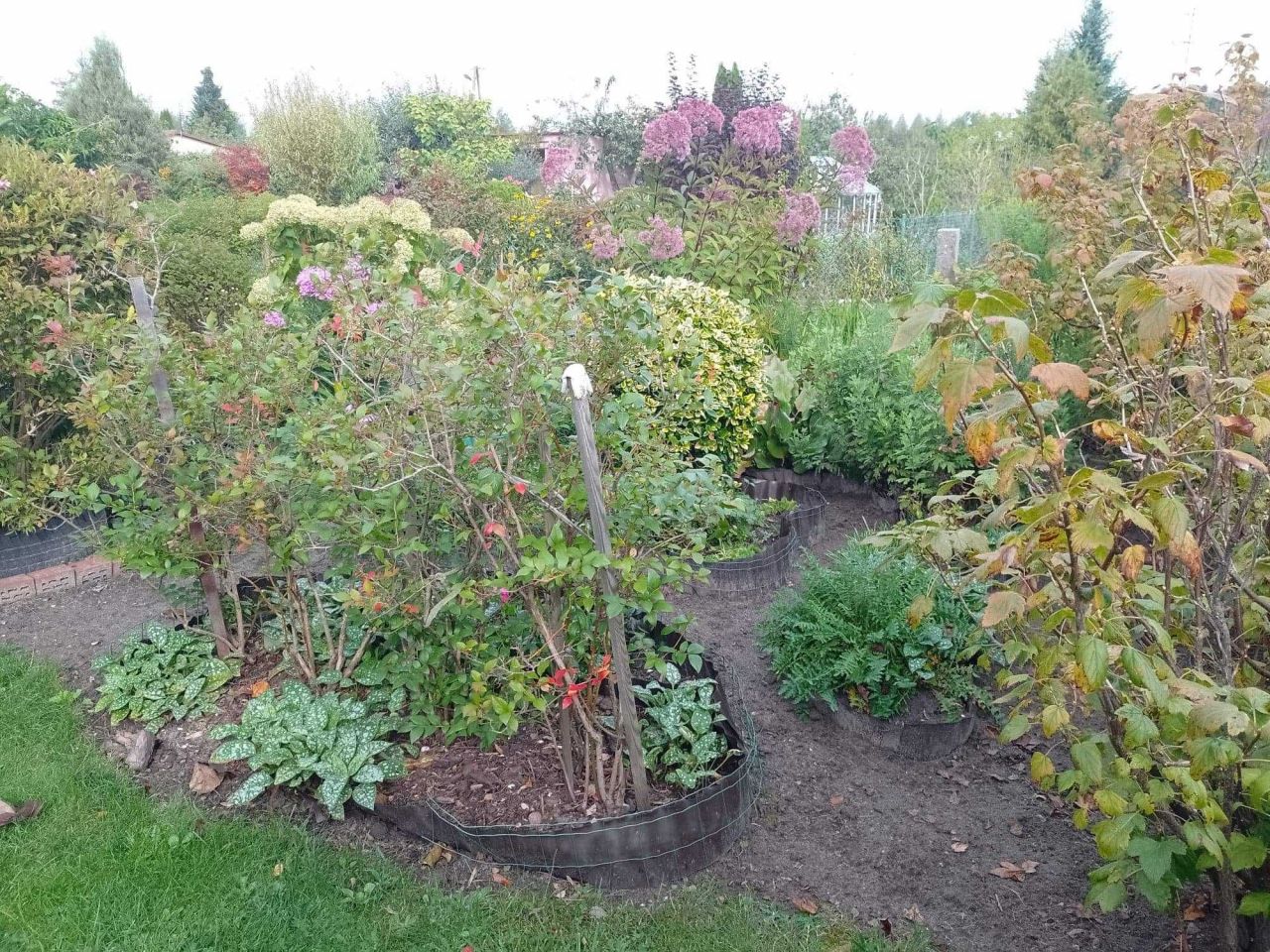 Działka rod Mokra Prawa. Zdjęcie 7