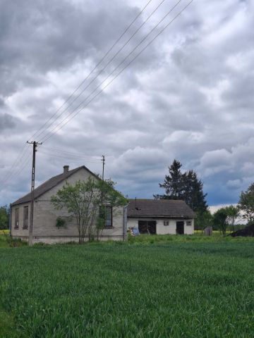 dom wolnostojący Stary Rzechów. Zdjęcie 1