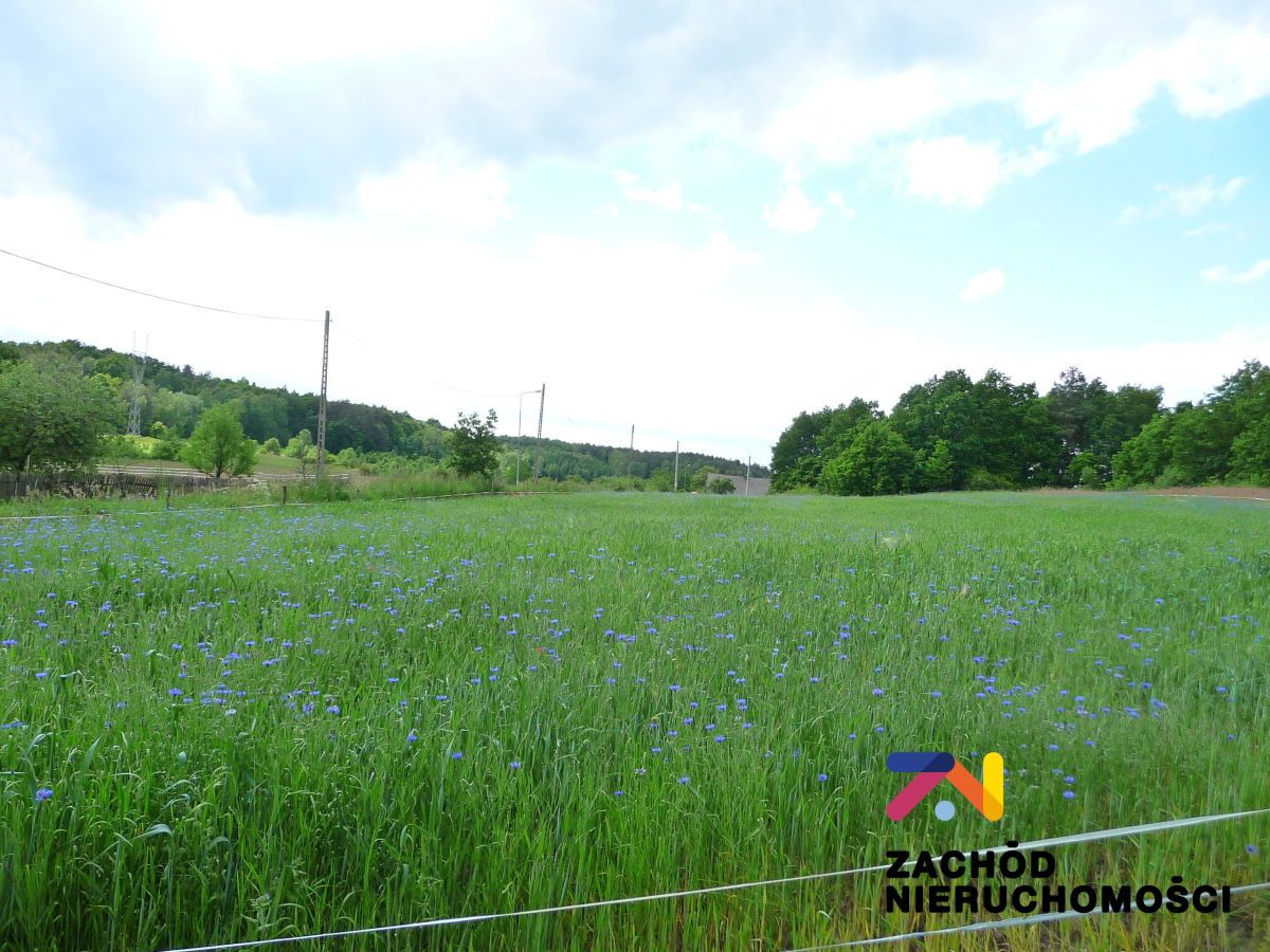 Działka rolna Drągowina. Zdjęcie 4