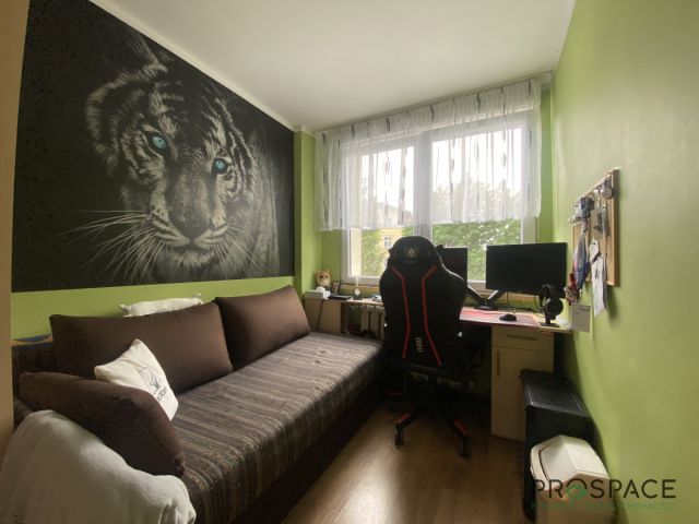 Mieszkanie 3-pokojowe Zielona Góra Centrum, ul. 1 Maja. Zdjęcie 7