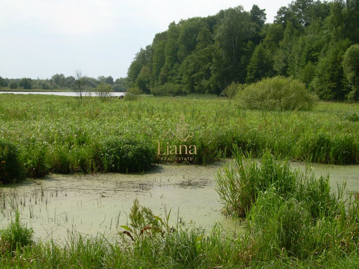 Działka budowlana Kobyla. Zdjęcie 12