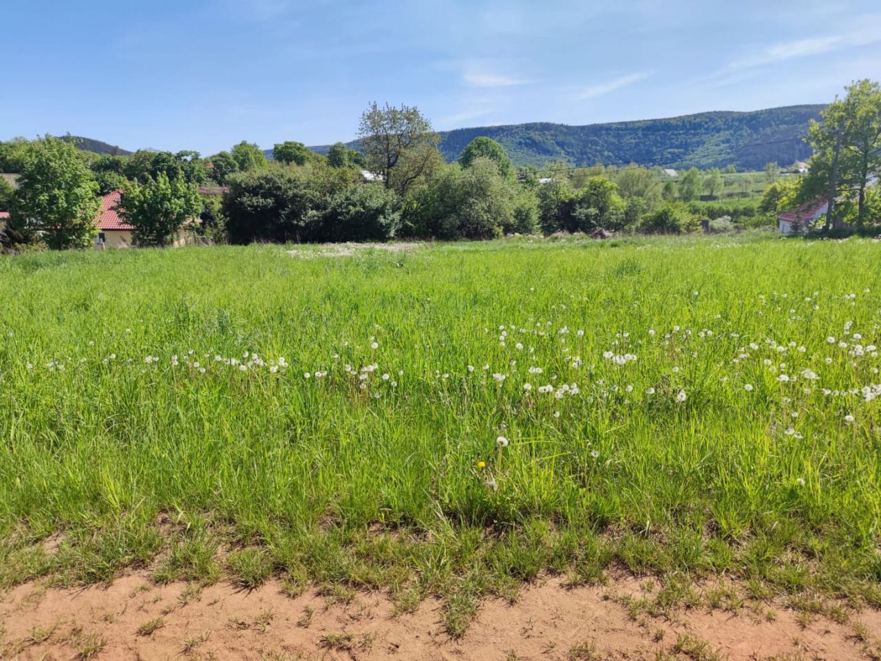 Działka budowlana Radków, ul. Górska. Zdjęcie 6