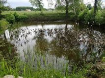 gospodarstwo Ładzyń. Zdjęcie 3