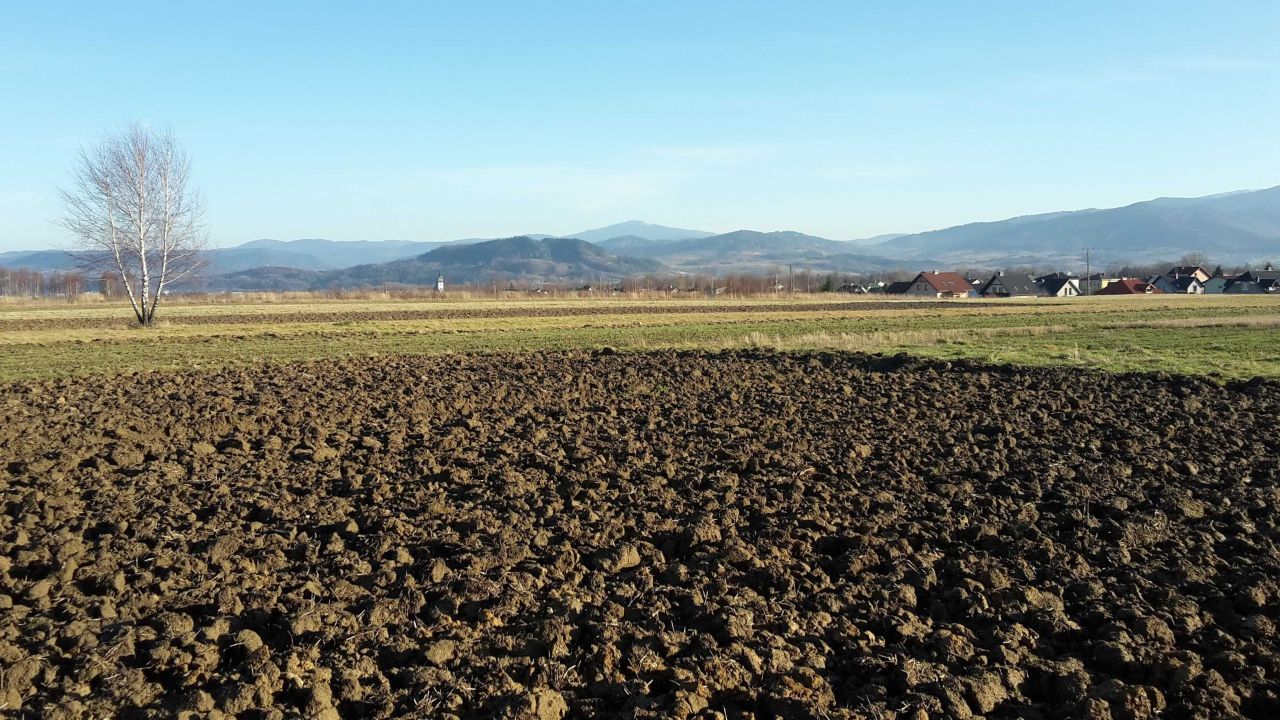 Działka budowlana Lipowa. Zdjęcie 5