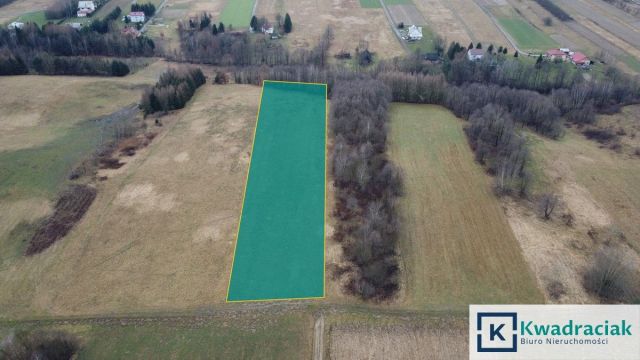 Działka rolna Stara Wieś Budy. Zdjęcie 4