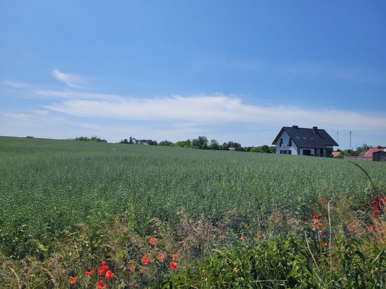Działka budowlana Cedynia, ul. Kolonia. Zdjęcie 2